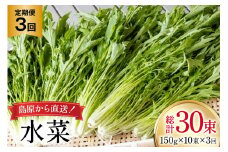 AI335 定期便 3回 水菜 10束 [ 野菜 みずな サラダ やさい 冷蔵 葉物野菜 田中農園 長崎県 島原市 ]