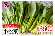 AI334 定期便 12回 小松菜 30束 [ 野菜 こまつな やさい 冷蔵 葉物野菜 田中農園 長崎県 島原市 ]