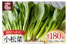 AI333 定期便 6回 小松菜 30束 [ 野菜 こまつな やさい 冷蔵 葉物野菜 田中農園 長崎県 島原市 ]