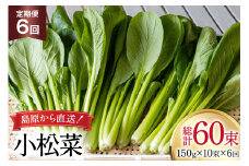 AI330 定期便 6回 小松菜 10束 [ 野菜 こまつな やさい 冷蔵 葉物野菜 田中農園 長崎県 島原市 ]