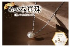 AI387 Marycoco あこや本真珠 8mm 一粒 パールネックレス シルバー ケース付 [NA801 ネックレス 一粒ネックレス パール 真珠 アコヤ真珠 本真珠 ジュエリー アクセサリー 金属アレルギー対応 メアリーココ 長崎県 島原市 ]