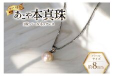 AI391 Marycoco あこや本真珠 8mm 一粒 パールネックレス サークルモチーフ ケース付 [N501R ネックレス 一粒ネックレス パール 真珠 アコヤ真珠 本真珠 ジュエリー アクセサリー 金属アレルギー対応 メアリーココ 長崎県 島原市 ]