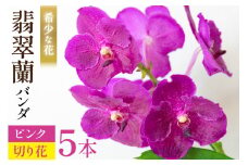 AI175 希少な花「華やかな恋」の予感 翡翠蘭(バンダ) 切り花 5本 セット ピンク [ 植物 花 ガーデン 希少 インテリア かわいい 個性的 北尾洋蘭園 長崎県 島原市 ]
