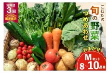 AJ433 【3回定期便】【10～12月限定出荷】こむたの旬の野菜 (8～10品目) おまかせMセット [ 野菜 やさい 旬 定期便 野菜セット 種類 人気 オススメ 新鮮 詰め合わせ 詰合せ こむた 小無田 青果 長崎県 島原市 ]