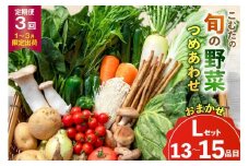 AJ435 【3回定期便】【1～3月限定出荷】こむたの旬の野菜 (13～15品目) おまかせLセット [ 野菜 やさい 旬 定期便 野菜セット 種類 人気 オススメ 新鮮 詰め合わせ 詰合せ こむた 小無田 青果 長崎県 島原市 ]