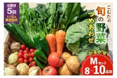 AJ434 【5回定期便】【1～5月限定出荷】こむたの旬の野菜 (8～10品目) おまかせMセット [ 野菜 やさい 旬 定期便 野菜セット 種類 人気 オススメ 新鮮 詰め合わせ 詰合せ こむた 小無田 青果 長崎県 島原市 ]