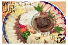 AJ155 美味しい 鯨 5種詰め合わせBセット 計520g( 大和煮 オバ ベーコンスライス 湯かけくじら さえずりスライス )[ くじら クジラ 鯨肉 湯引き 簡単調理 おつまみ 肴 珍味 日野商店 長崎県 島原市 ]        