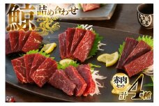 AJ148 くじら 赤肉 4種詰め合わせ 計740g ( 小切れ 胸肉 背肉 特選 )[ くじら クジラ 鯨肉 湯引き 簡単調理 おつまみ 肴 珍味 日野商店 長崎県 島原市 ]