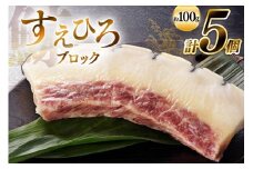 AJ144 すえひろ ブロック 100g×5個セット 計500g [ くじら クジラ 鯨肉 湯引き 簡単調理 おつまみ 肴 珍味 小分け 日野商店 長崎県 島原市 ]