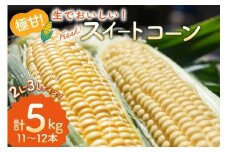 AI207【令和8年度出荷分】とうもろこし スイートコーン イエロー 2L~3Lサイズ 11本~12本 計5kg [ トウモロコシ コーン ゴールドラッシュ 野菜 5キロ さかいさんち SAKAI FARM 長崎県 島原市 ]