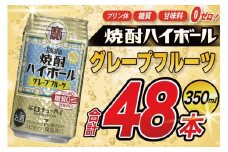AJ323 タカラ 焼酎ハイボール グレープフルーツ 350ml 48本(24本×2箱) [ タカラ 宝 寶 Takara 焼酎 酎ハイ チューハイ ハイボール 7% 人気 ご自宅用 日常使い 普段使い 健康志向 プリン体ゼロ 糖質ゼロ 甘味料ゼロ プリン体０ 糖質０ 甘味料０ みつい 長崎県 島原市 ]