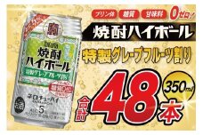 AJ331 タカラ 焼酎ハイボール 5% 特製グレープフルーツ割り 350ml 48本(24本×2箱) [ タカラ 宝 寶 Takara 焼酎 酎ハイ チューハイ ハイボール 5% 人気 ご自宅用 日常使い 普段使い 健康志向 プリン体ゼロ 糖質ゼロ 甘味料ゼロ プリン体０ 糖質０ 甘味料０ みつい 長崎県 島原市 ]