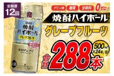 AJ406 【12回定期便】タカラ 焼酎ハイボール グレープフルーツ 500ml 24本 [ タカラ 宝 寶 Takara 定期便 焼酎 酎ハイ チューハイ ハイボール 7% 人気 ご自宅用 日常使い 普段使い 健康志向 プリン体ゼロ 糖質ゼロ 甘味料ゼロ プリン体０ 糖質０ 甘味料０ みつい 長崎県 島原市 ]