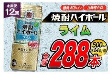 AJ409 【12回定期便】タカラ 焼酎ハイボール ライム 500ml 24本 [ タカラ 宝 寶 Takara 定期便 焼酎 酎ハイ チューハイ ハイボール 7% 人気 ご自宅用 日常使い 普段使い 健康志向 プリン体ゼロ 糖質ゼロ 甘味料ゼロ プリン体０ 糖質０ 甘味料０ みつい 長崎県 島原市 ]