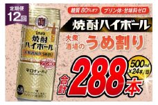 AJ415 【12回定期便】タカラ 焼酎ハイボール 大衆酒場のうめ割り 500ml 24本 [ タカラ 宝 寶 Takara 定期便 焼酎 酎ハイ チューハイ ハイボール 7% 人気 ご自宅用 日常使い 普段使い 健康志向 プリン体ゼロ 糖質ゼロ 甘味料ゼロ プリン体０ 糖質０ 甘味料０ みつい 長崎県 島原市 ]