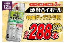 AJ430 【12回定期便】タカラ 焼酎ハイボール 5% 特製グレープフルーツ割り 500ml 24本 [ タカラ 宝 寶 Takara 定期便 焼酎 酎ハイ チューハイ ハイボール 5% 人気 ご自宅用 日常使い 普段使い 健康志向 プリン体ゼロ 糖質ゼロ 甘味料ゼロ プリン体０ 糖質０ 甘味料０ みつい 長崎県 島原市 ]