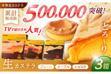 【最速発送】半熟生カステラ3個セット(プレーン・メープル・ショコラ) / カステラ かすてら 卵 人気 長崎 おやつ / 諫早市 / 株式会社菓秀苑森長  [AHAG003] 最速 最短 スピード 発送