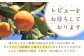 ゼリー ぜりー みかん ミカン 蜜柑 ザボン ざぼん ビワ びわ 枇杷 果汁