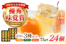 長崎旬彩12個入り×2セット / ゼリー みかん ミカン ザボン びわ 果汁 / 諫早市 / 有限会社あじさい [AHAH004]  