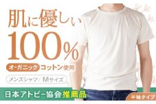 【日本アトピー協会推薦品】オーガニックコットンTシャツ（メンズ / Mサイズ） / Tシャツ メンズ 綿 オーガニック 服 肌着 生成り 半袖 / 諫早市 /  株式会社美泉  [AHAP014]