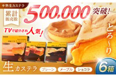 【最速発送】半熟生カステラ3個(プレーン・メープル・ショコラ)×2セット / カステラ かすてら 卵 人気 長崎 / 諫早市 / 株式会社菓秀苑森長 [AHAG007]  最速 最短 スピード 発送