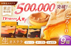 【最速発送】半熟生カステラ3個(プレーン・メープル・ショコラ)×3セット / カステラ かすてら 卵 人気 長崎 / 諫早市 / 株式会社菓秀苑森長 [AHAG008]  最速 最短 スピード 発送