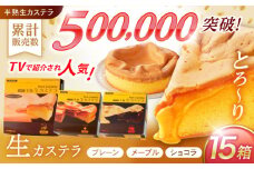 【最速発送】半熟生カステラ3個(プレーン・メープル・ショコラ)×5セット / カステラ かすてら 卵 人気 長崎 / 諫早市 / 株式会社菓秀苑森長 [AHAG009] 最速 最短 スピード 発送