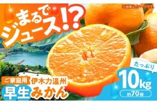 ※【2025年(令和7年)12月発送分／先行予約】伊木力温州早生みかん10kg(ご家庭用、箱入り) / みかん 温州みかん 柑橘 蜜柑 ミカン 果物 / 諫早市 / 末永果樹園 [AHBD002]