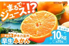 ※【2025年(令和7年)12月発送分／先行予約】伊木力温州早生みかん10kg(ご家庭用、箱入り) / みかん 温州みかん 柑橘 蜜柑 ミカン 果物 / 諫早市 / 末永果樹園 [AHBD002]