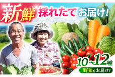 諫早のんのこ彩菜・詰め合わせ 10～12品目程度 / 季節 旬 野菜 やさい 春野菜 夏野菜 秋野菜 セット 詰め合わせ / 諫早市 / 肥前グローカル株式会社 [AHDI005]