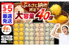 【最速発送】長崎海鮮しゅうまい4種食べくらべセット【業務用】 / しゅうまい 焼売 シュウマイ シューマイ しゅーまい / 諫早市 / 株式会社山香海  [AHBH006] 最速 最短 スピード 発送