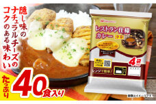 【小分け】【内袋のままレンジ調理可】日本ハム レストラン仕様カレー 中辛 計40食（4袋×10P）/ カレー かれー レトルト 牛肉 小分け / 諫早市 / 日本ハムマーケティング株式会社 [AHAL003]