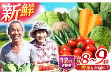 野菜 定期便【全12回定期便】諫早産野菜の詰め合わせ 8〜9品目程度 / 野菜 定期便 やさい 旬野菜 旬 新鮮 詰合せ セット 春野菜 夏野菜 秋野菜 冬野菜 定期便 / 諫早市 / 肥前グローカル株式会社  [AHDI003]