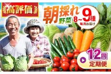 野菜 定期便【全12回定期便】諫早産野菜の詰め合わせ 8〜9品目程度 / 野菜 定期便 やさい 旬野菜 旬 新鮮 詰合せ セット 春野菜 夏野菜 秋野菜 冬野菜 定期便 / 諫早市 / 肥前グローカル株式会社  [AHDI003]