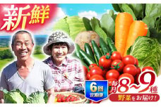 野菜定期便【全6回定期便】諫早産野菜の詰め合わせ 8〜9品目程度 / 野菜 やさい 旬野菜 旬 新鮮 詰合せ セット たまねぎ なす トマト れんこん きのこ 大根 / 諫早市 / 肥前グローカル株式会社 [AHDI002]