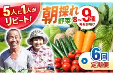 野菜定期便【全6回定期便】諫早産野菜の詰め合わせ 8〜9品目程度 / 野菜 やさい 旬野菜 旬 新鮮 詰合せ セット たまねぎ なす トマト れんこん きのこ 大根 / 諫早市 / 肥前グローカル株式会社 [AHDI002]