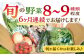 諫早産 野菜 詰め合わせ 8〜9品目程度 定期便 季節 旬 やさい 春野菜 夏野菜