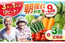野菜定期便 【全3回定期便】諫早産野菜の詰め合わせ 8〜9品目程度 / 野菜 やさい 旬野菜 旬 新鮮 詰合せ セット たまねぎ なす トマト れんこん きのこ 大根 / 諫早市 / 肥前グローカル株式会社[AHDI001]