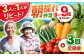 諫早産 野菜 詰め合わせ 8〜9品目程度 定期便 季節 旬 やさい 春野菜 夏野菜