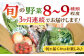 諫早産 野菜 詰め合わせ 8〜9品目程度 定期便 季節 旬 やさい 春野菜 夏野菜