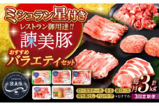 【3回定期便】諫美豚おすすめバラエティセット3kg / 諫美豚 豚肉 肩ロース ステーキ モモ 切り落とし ハンバーグ ロースステーキ / 諫早市 / 株式会社土井農場 [AHAD002]