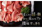 諫美豚 豚肉 切り落とし 肉 豚 お肉 国産 人気 スライス