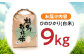 「ひのひかり」9kg 米 こめ コメ お米 おこめ 白米 精米 白ご飯 ヒノヒカリ 長崎県産
