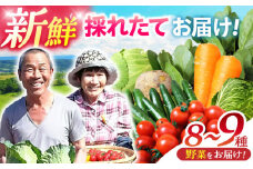 諫早産野菜の詰め合わせ 8〜9品目程度 / 季節 旬 野菜 やさい セット 春野菜 夏野菜 秋野菜 詰め合わせ / 諫早市 / 肥前グローカル株式会社[AHDI004]