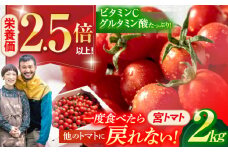 プチッと弾ける果汁「宮トマト」2kg / 野菜 やさい トマト とまと ミニトマト プチトマト / 諫早市 / 株式会社宮下農園 [AHCG012]