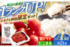「宮トマト」2kg・特別栽培米「にこまる」2kg / トマト とまと ミニトマト プチトマト 野菜 やさい 米 コメ こめ おこめ お米 白米 精米   / 諫早市 / 株式会社宮下農園 [AHCG013]