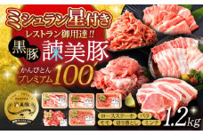 黒豚諫美豚プレミアム100 5種詰め合わせ 1.2kg / 豚肉 ぶたにく ロースステーキ しゃぶしゃぶ 切り落とし ミンチ / 諫早市 / 株式会社土井農場 [AHAD047]