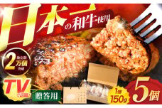 ながさきふわとろハンバーグ　150g×5個入【贈答用】 / ハンバーグ はんばーぐ 牛肉 豚肉 長崎和牛 / 諫早市 / ワールド・ミート有限会社 [AHBG001]