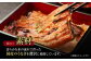 福田屋食品うなぎ蒲焼2尾(真空パック)  鰻 うなぎ ウナギ 国産 蒲焼 かばやき うな重 うな丼 ひつまぶし