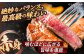 長崎和牛 A5ランク サーロインステーキ 2枚 計400g ステーキ 和牛 牛肉 国産牛 牛